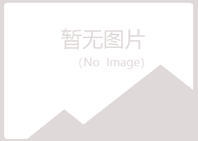 晋城城无果咨询有限公司